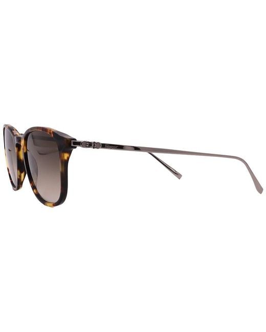 Ferragamo Brown Salvatore 53Mm Sunglasses for men