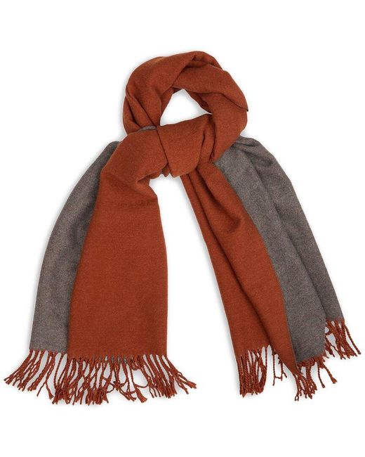 Saachi Brown Solid Fringe Reversible Scarf
