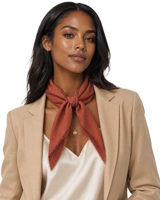 Blue Pacific Brown Solid Cashmere-Blend Neckerchief