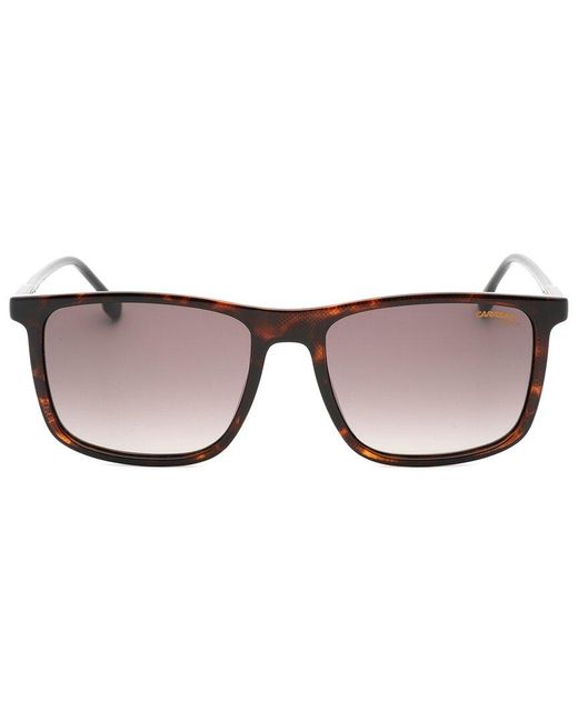 Carrera Brown 55Mm Sunglasses for men
