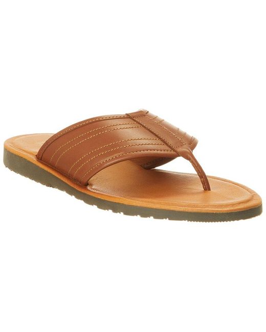 M by Bruno Magli Brown Artemio Leather Flip-Flop for men