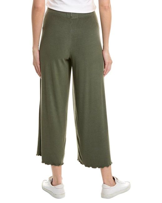 Electric and Rose Green Sweeney Pant