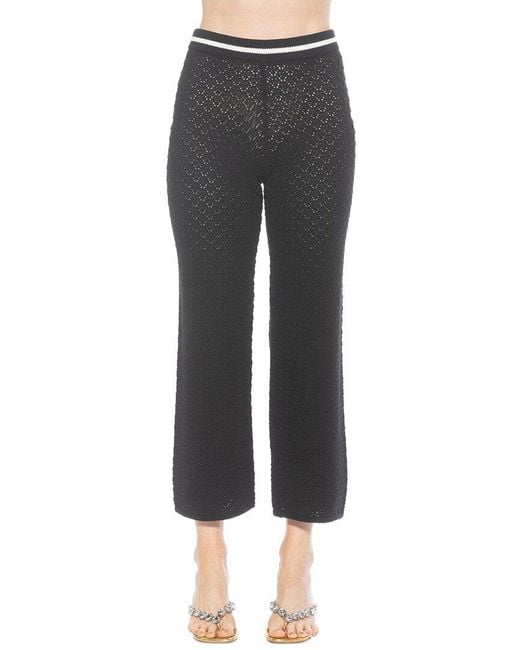 Alexia Admor Gray Kora Pant