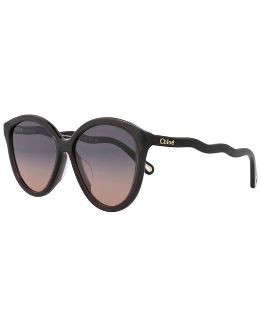 Chloé Brown Ch0087sa 58mm Sunglasses