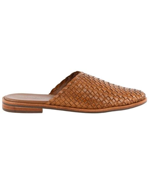 Seychelles Brown Places To Go 2 Leather Mule