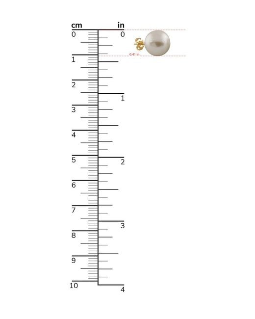 Splendid White 14k Yellow Gold & Pearl Stud Earrings
