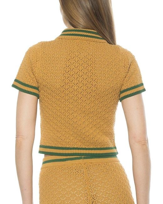 Alexia Admor Yellow Brinley Polo Top