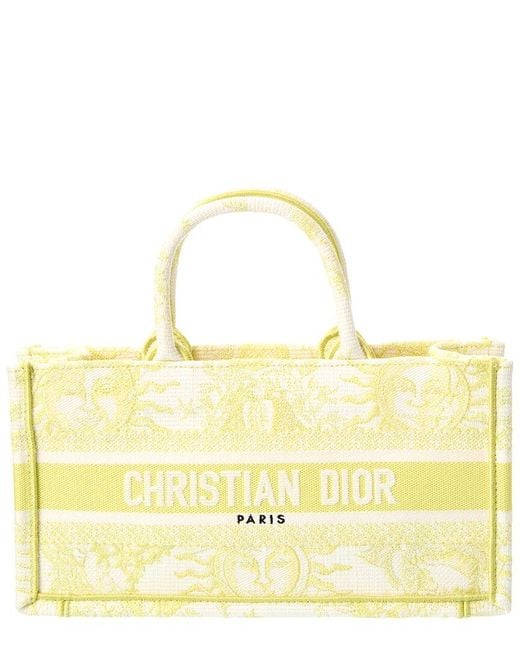 Dior Metallic Mini Canvas Book Tote