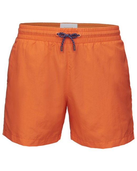 Swims Orange Starboard Swim Short for men