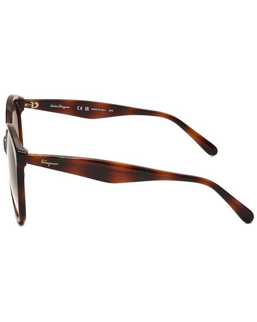 Ferragamo Brown Sf1071s 58mm Sunglasses