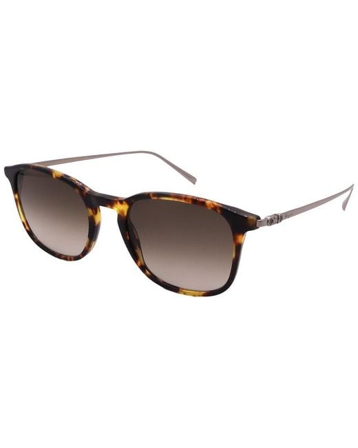 Ferragamo Brown Salvatore 53Mm Sunglasses for men
