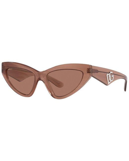 Dolce & Gabbana Brown Dg4439 55mm Sunglasses