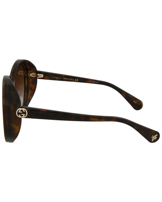 Gucci Brown Fashion 55mm Sunglasses