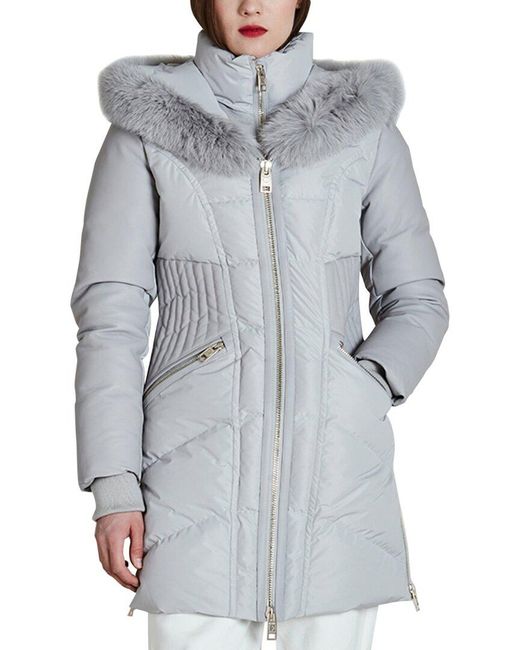 nb series nicole benisti