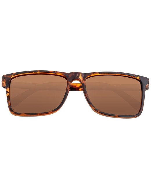 Breed Brown Caelum 40x56mm Polarized Sunglasses for men