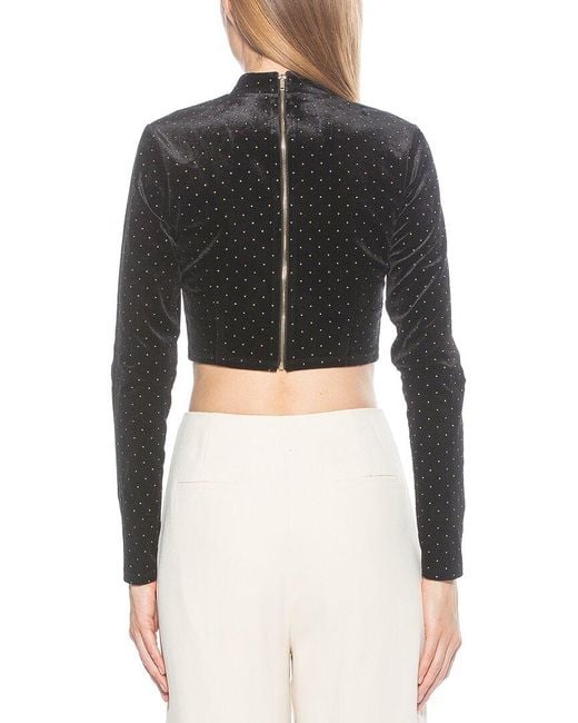 Alexia Admor Black Ari Top