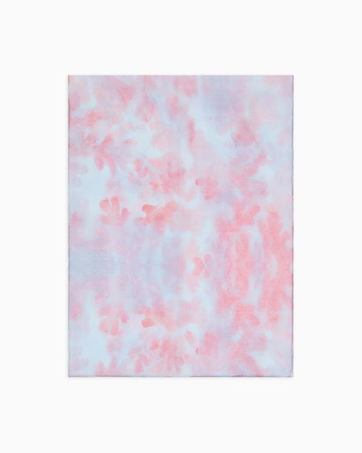 Giorgio Armani Pink Printed Organza Stole