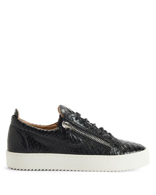 Giuseppe Zanotti Black Frankie for men