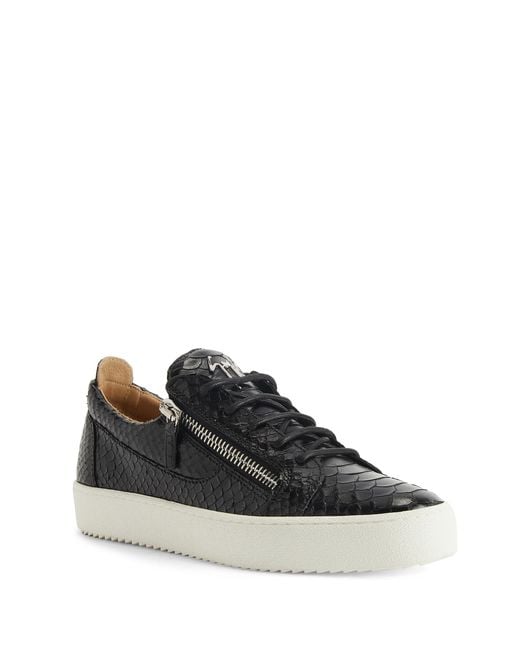 Giuseppe Zanotti Black Frankie for men