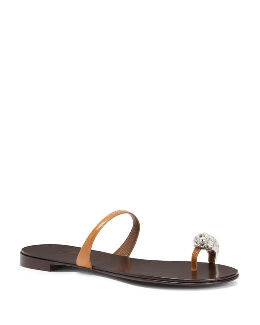 Giuseppe Zanotti Brown Icon Ring