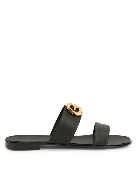 zanotti canada