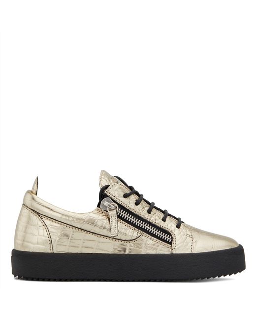 gail giuseppe zanotti