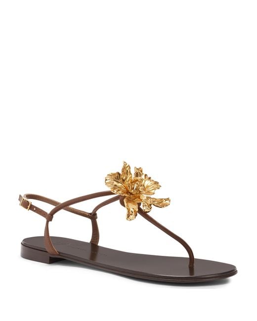 Giuseppe Zanotti Brown Orchid Flat