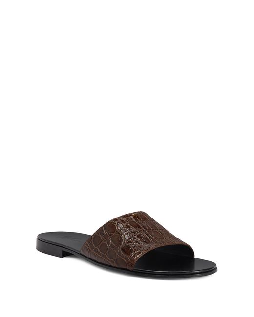 Giuseppe Zanotti Brown Adrien for men