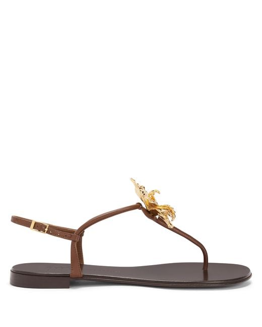 Giuseppe Zanotti Brown Orchid Flat
