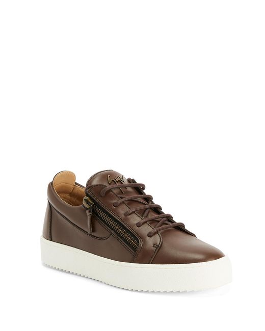 Giuseppe Zanotti Brown Frankie for men