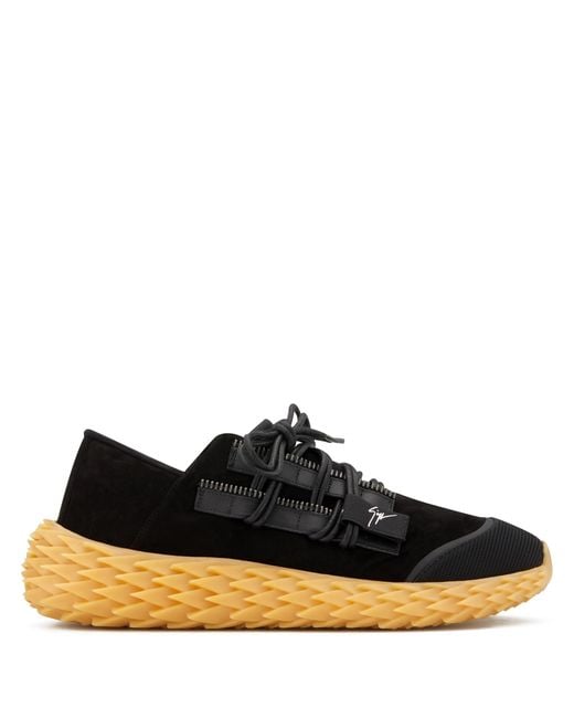 urchin giuseppe zanotti