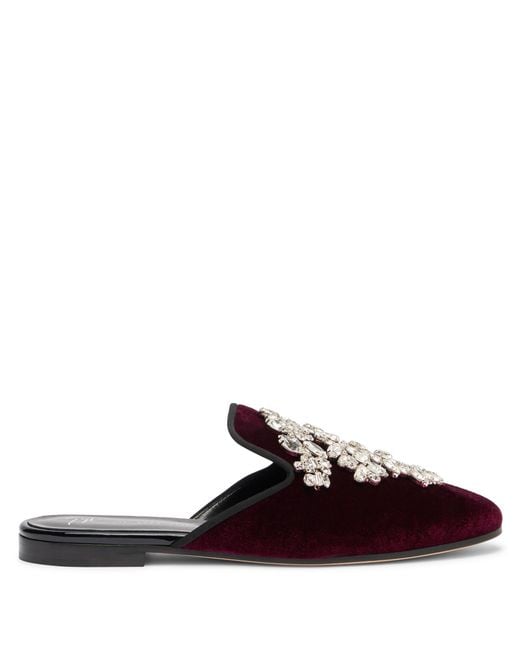 Giuseppe Zanotti Brown Elsa Crystal