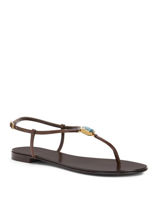 Giuseppe Zanotti Brown Cameliee Flat