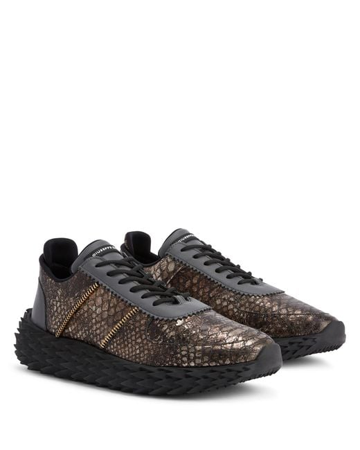 Giuseppe Zanotti Black Urchin for men