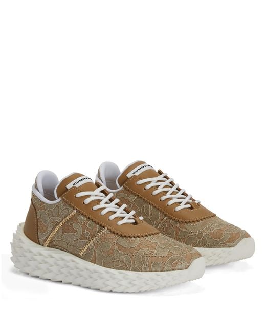 Giuseppe Zanotti Brown Urchin