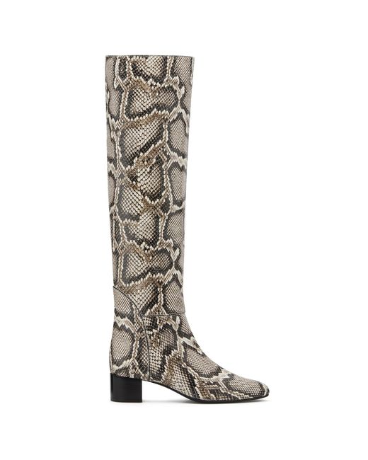 Giuseppe Zanotti Multicolor Giuseppe Zanotti Doreen