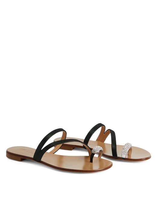 Giuseppe Zanotti Brown Hillary Ring