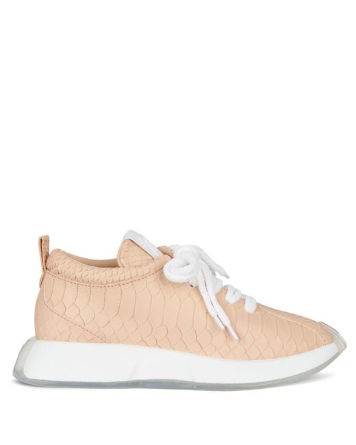 Giuseppe Zanotti Natural Ferox
