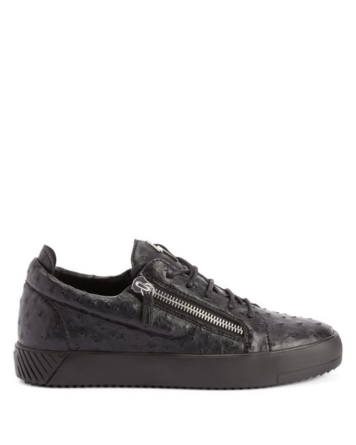 Giuseppe Zanotti Black Frankie for men