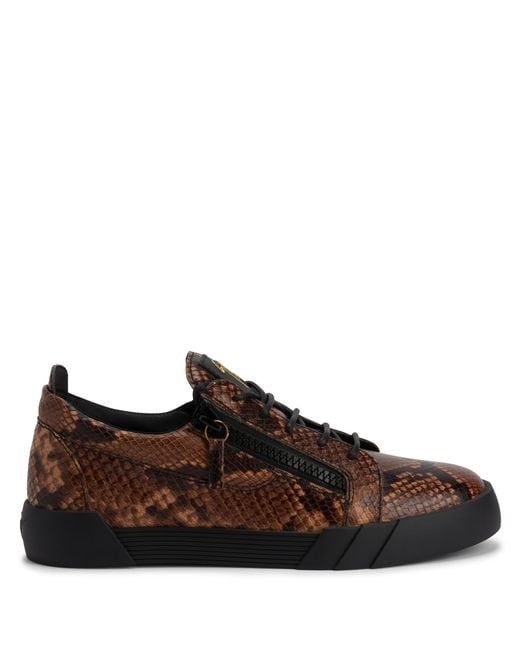 Giuseppe Zanotti Brown The Shark 5.0 Low for men