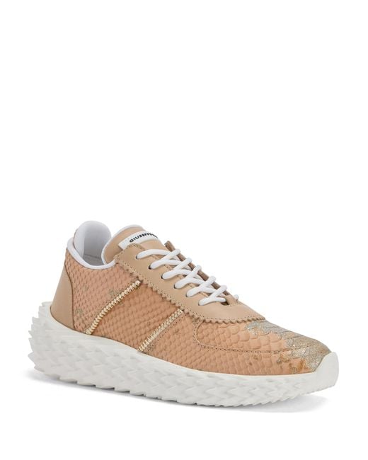 Giuseppe Zanotti Natural Urchin