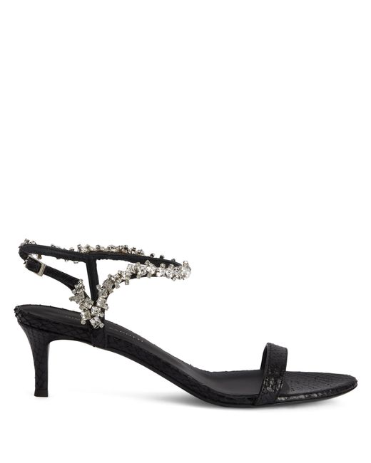 YULIET di Giuseppe Zanotti in Black