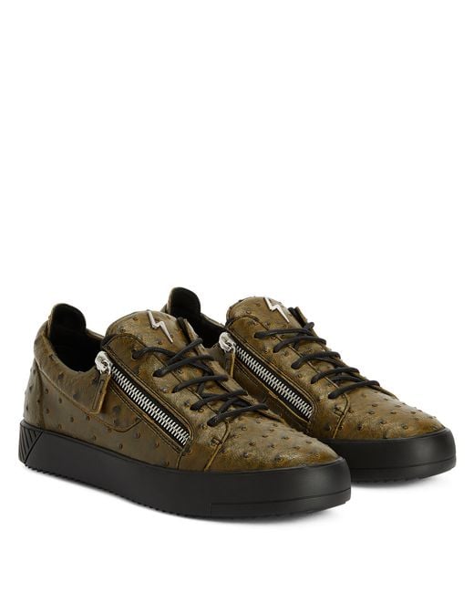 Giuseppe Zanotti Brown Frankie for men