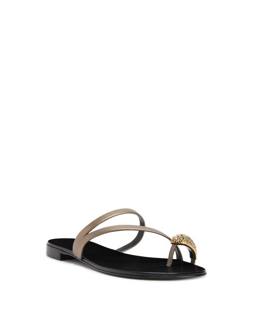 Giuseppe Zanotti Black Febe Snake