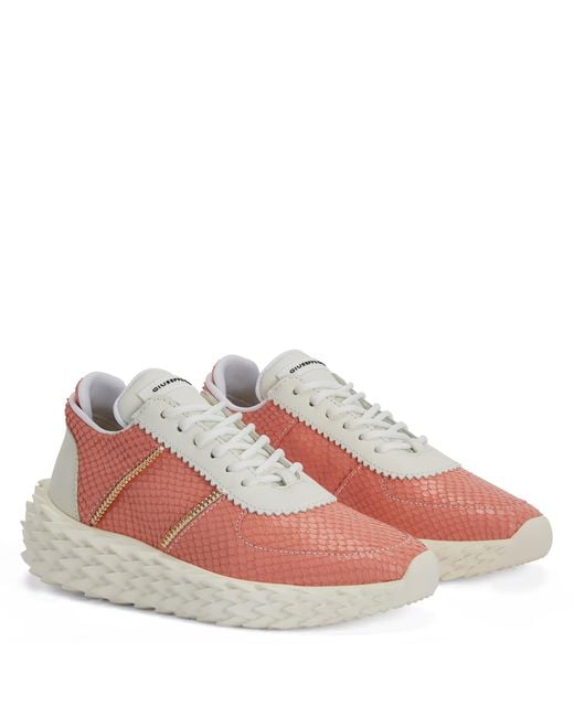 Giuseppe Zanotti Pink Urchin