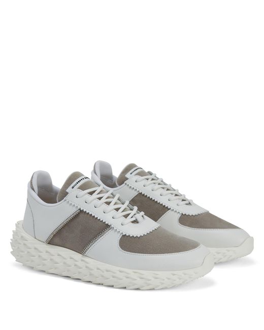 Giuseppe Zanotti Gray Urchin for men