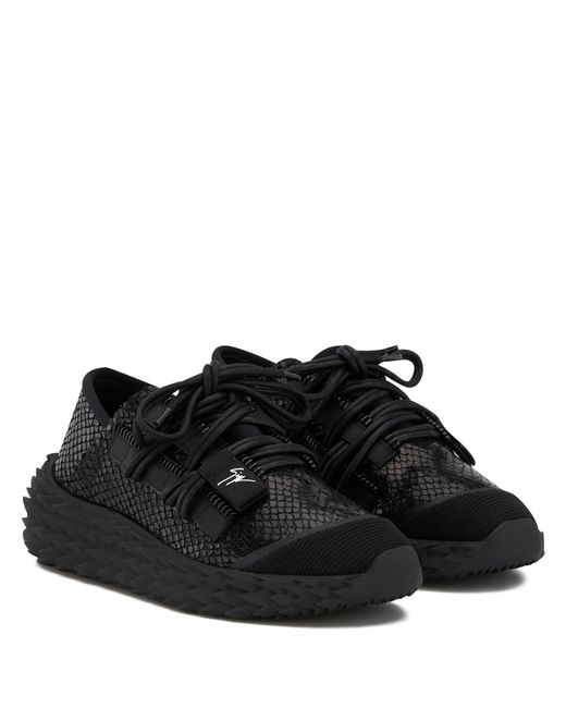 urchin giuseppe zanotti