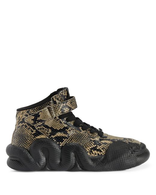 Giuseppe Zanotti Brown Cobras for men