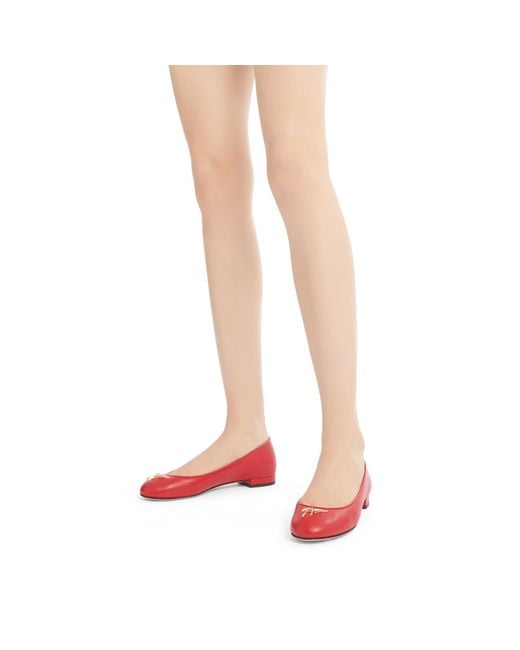 Giuseppe Zanotti Red Riziana