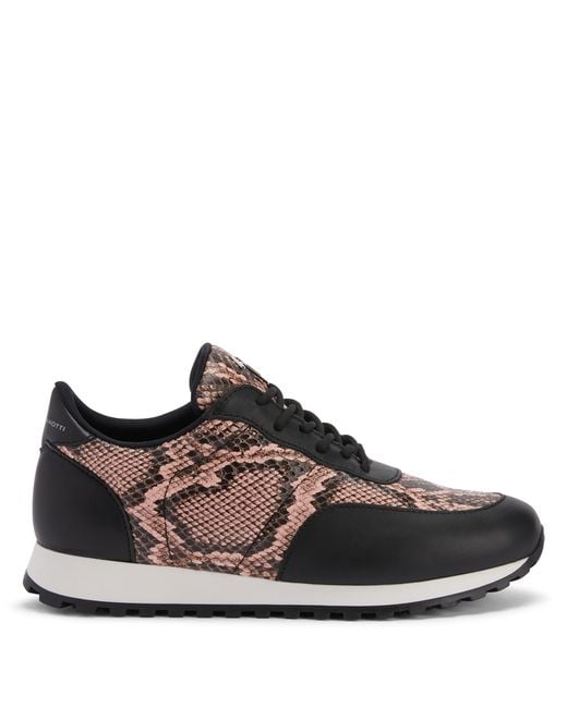 Giuseppe Zanotti Brown Jimi Running